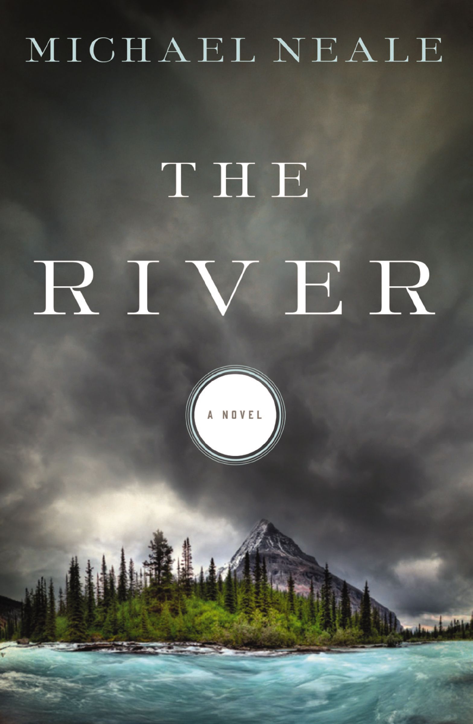 Cover image for The River