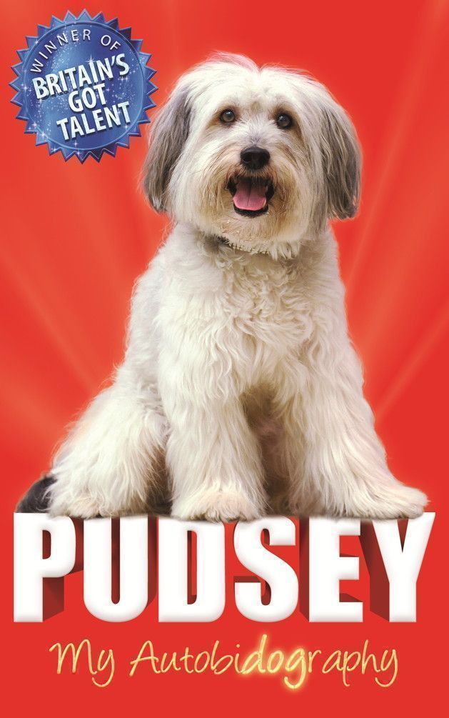 Cover image for Pudsey