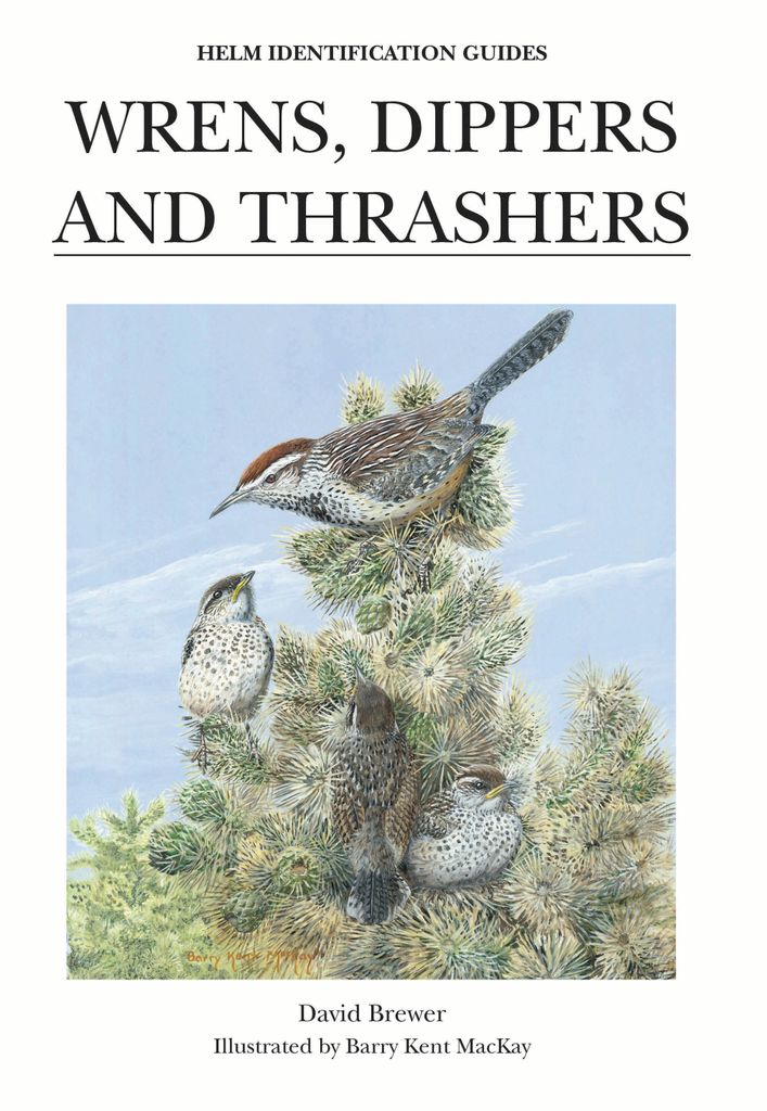Cover image for Wrens, Dippers and Thrashers