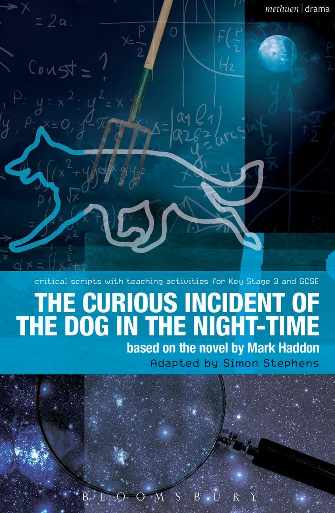 Cover image for The Curious Incident of the Dog in the Night-Time
