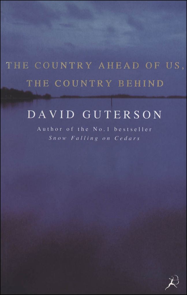 Cover image for The Country Ahead of Us, the Country Behind