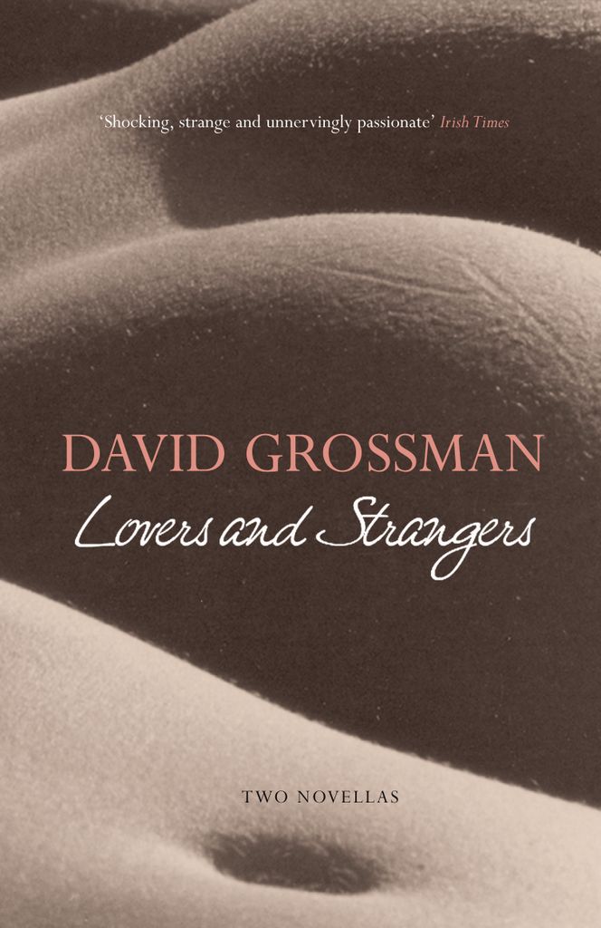 Cover image for Lovers and Strangers