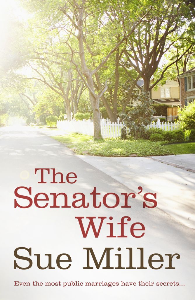 Cover image for The Senator's Wife