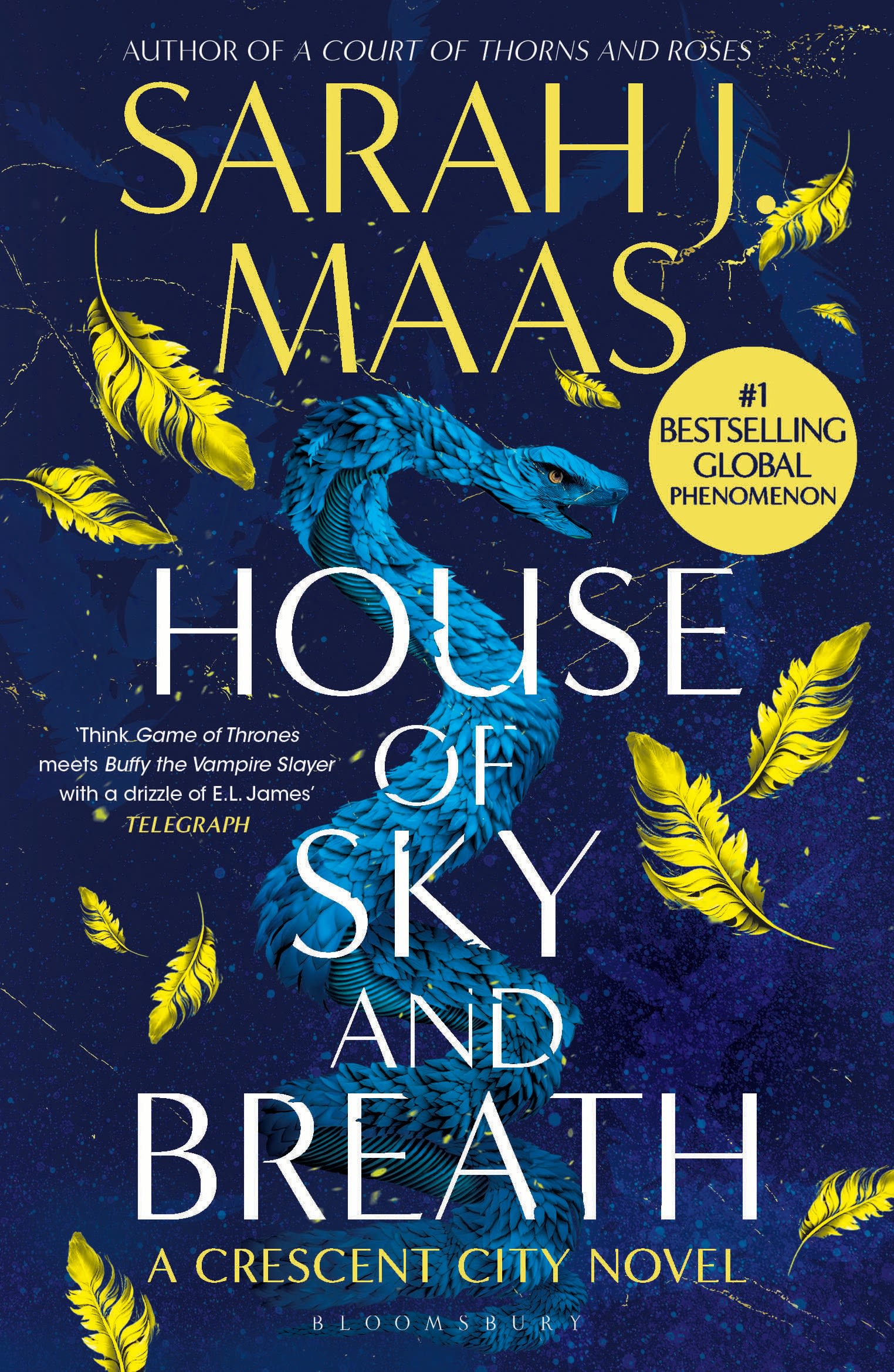 Cover image for House of Sky and Breath