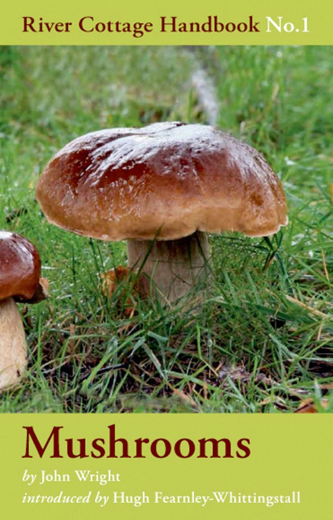 Cover image for Mushrooms