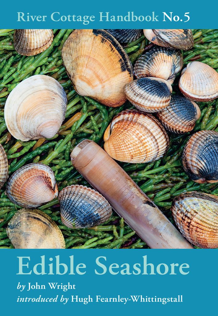 Cover image for Edible Seashore