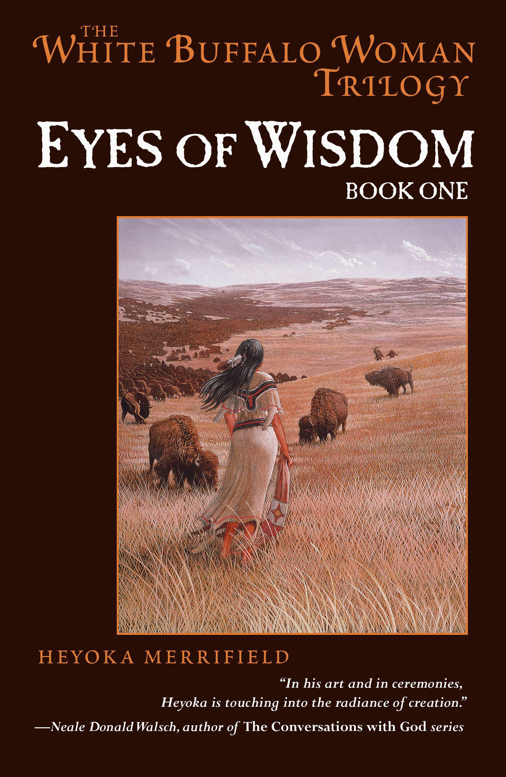 Cover image for Eyes of Wisdom