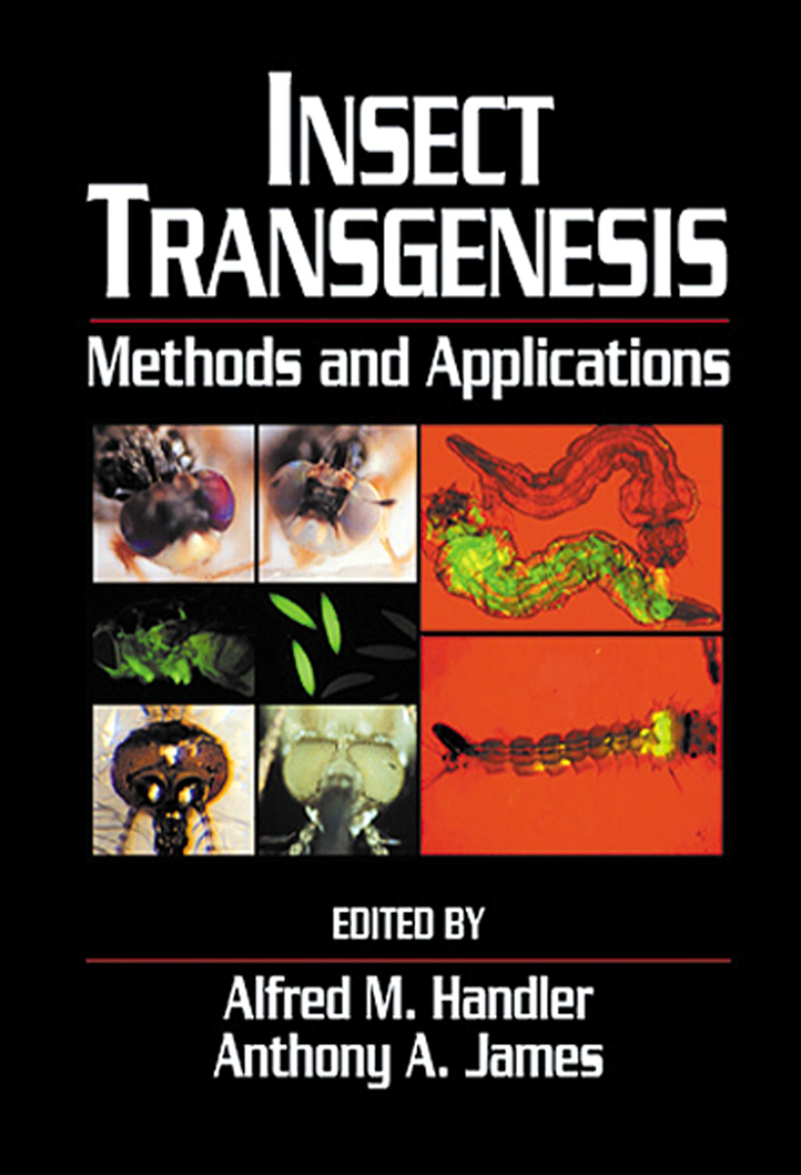 Cover image for Insect Transgenesis
