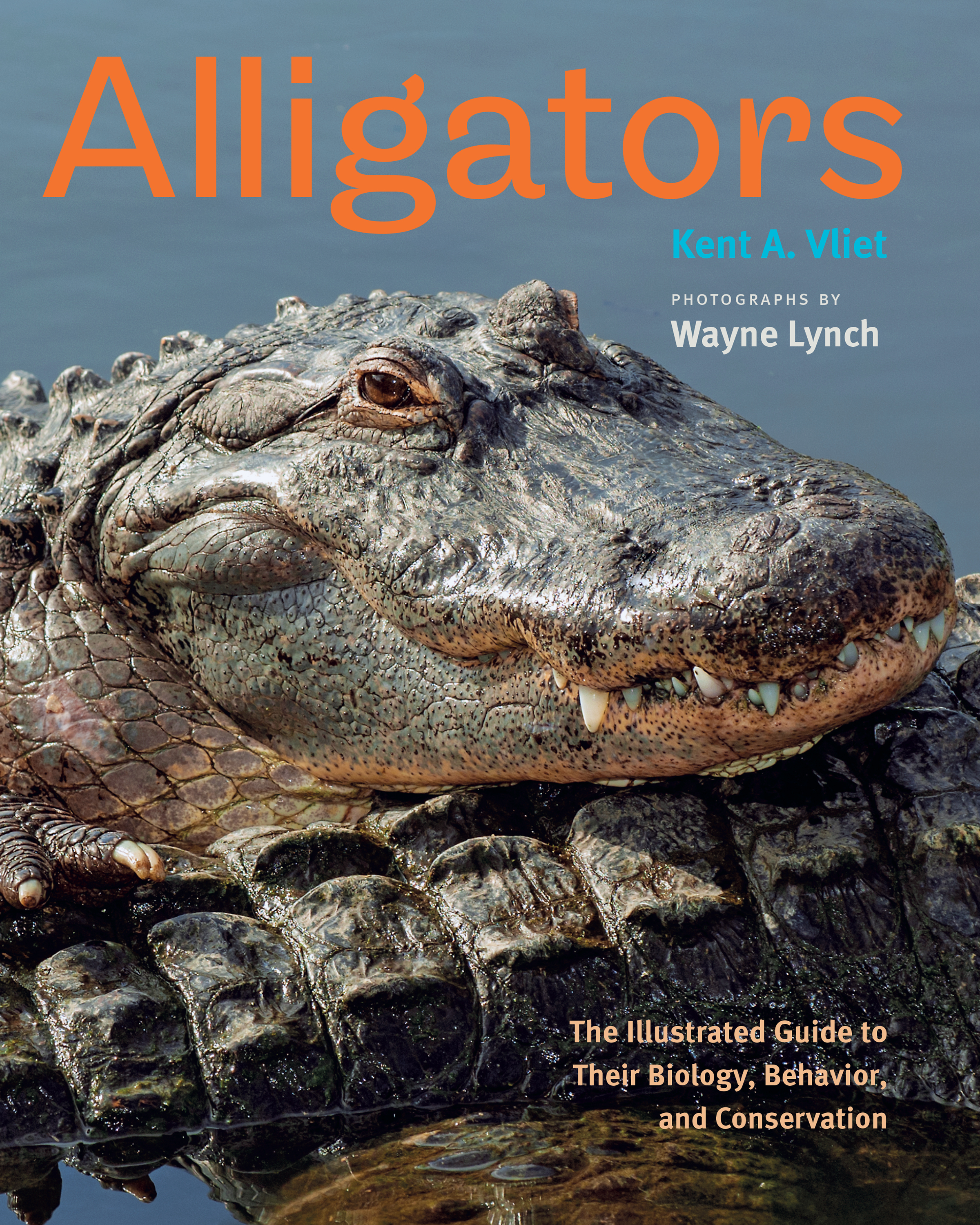 Cover image for Alligators