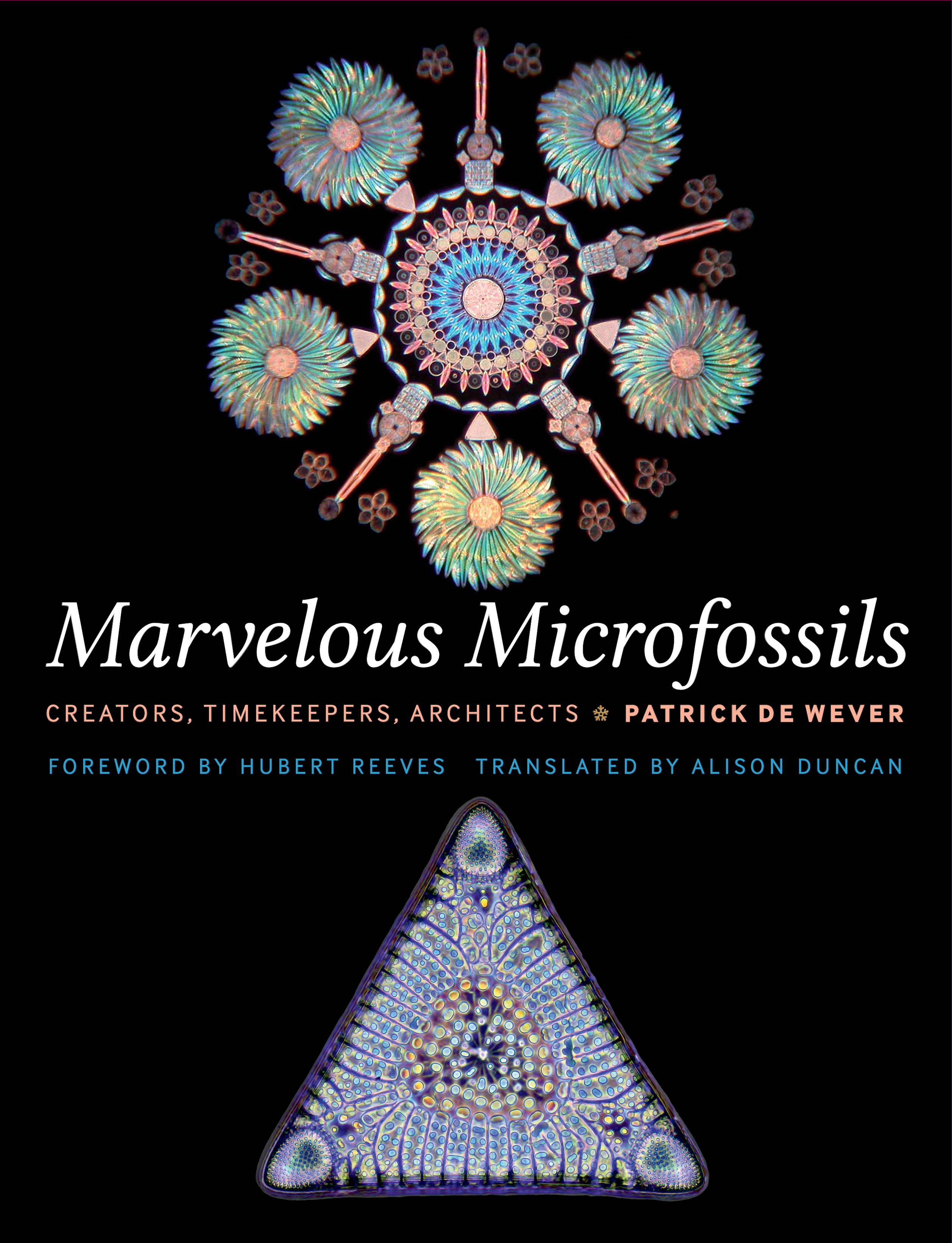 Cover image for Marvelous Microfossils
