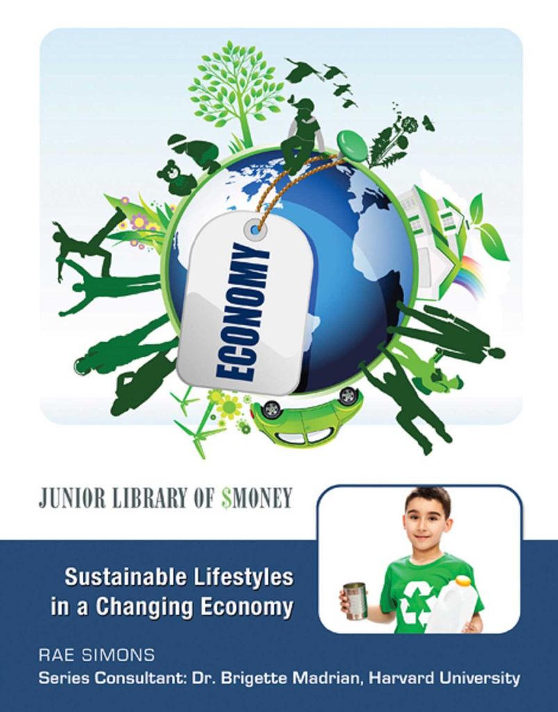 Cover image for Sustainable Lifestyles in a Changing Economy