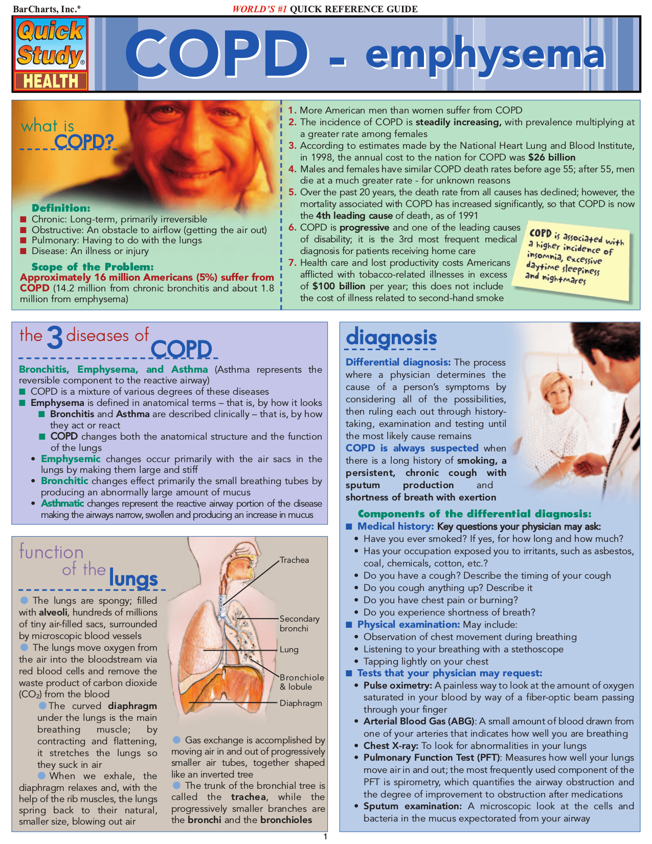 Cover image for Copd-Emphysema