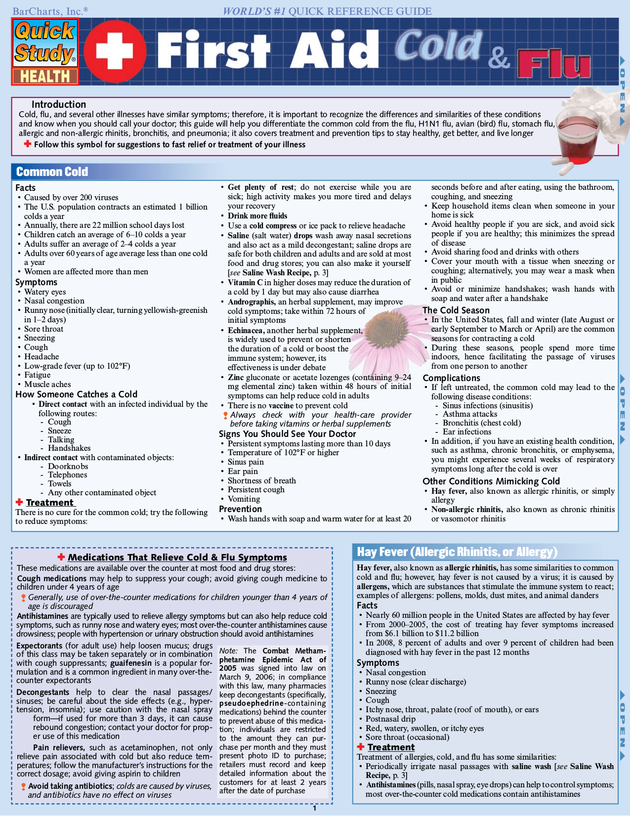 Cover image for First Aid: Cold & Flu