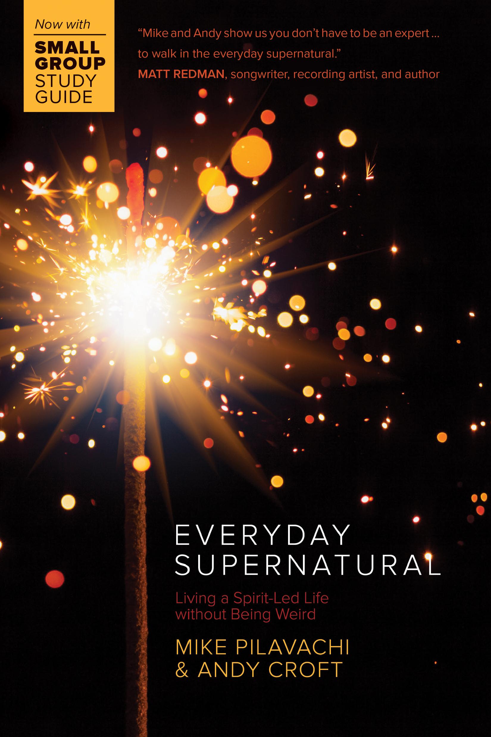Cover image for Everyday Supernatural