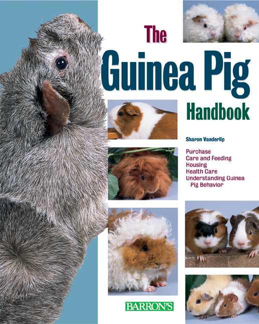 Guinea hot sale pig handbook