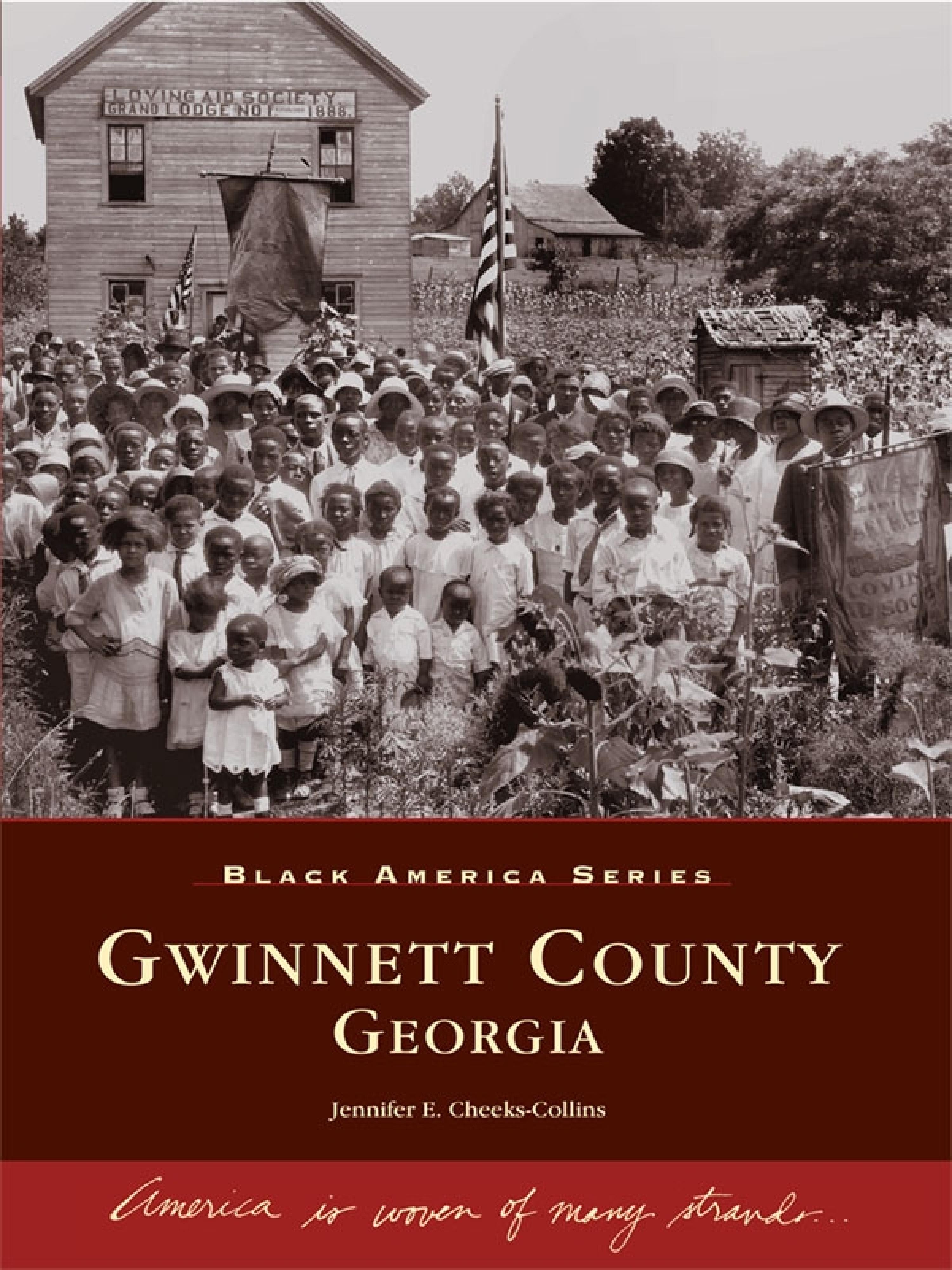Cover image for Gwinnett County, Georgia