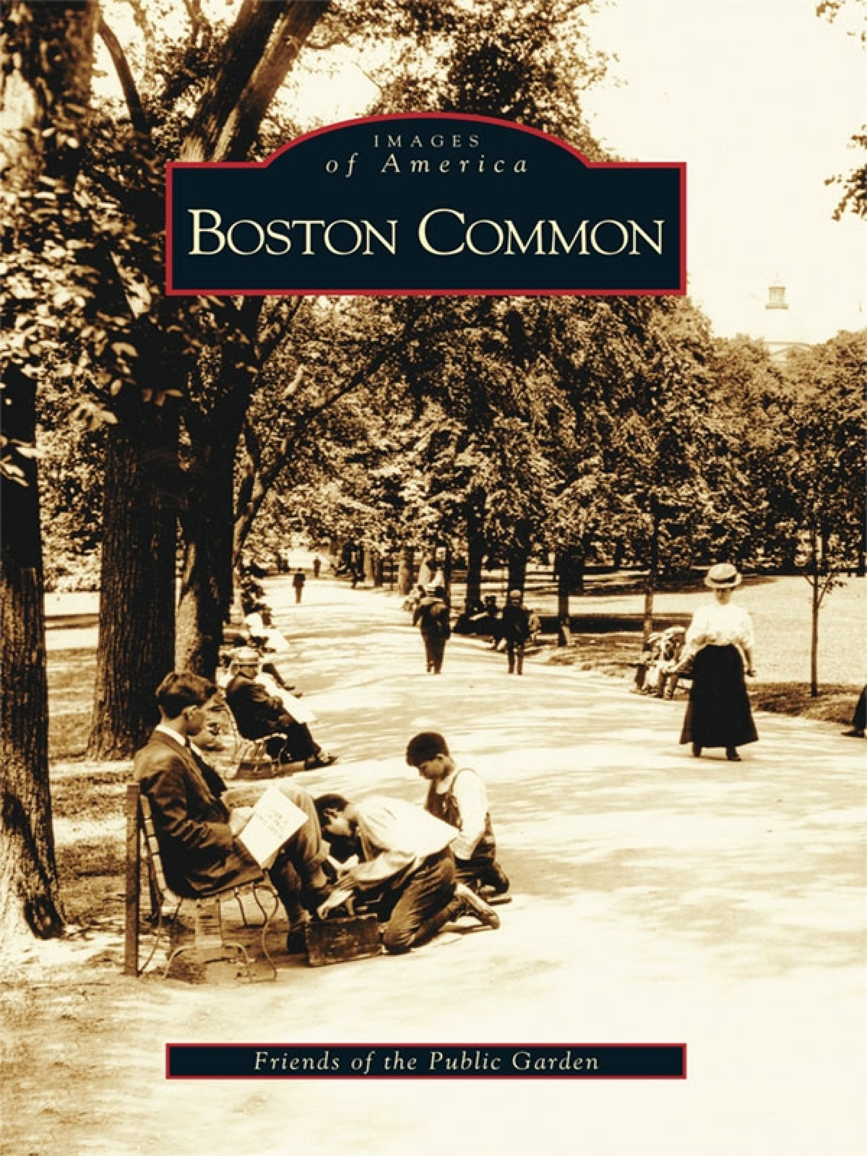 Cover image for Boston Common