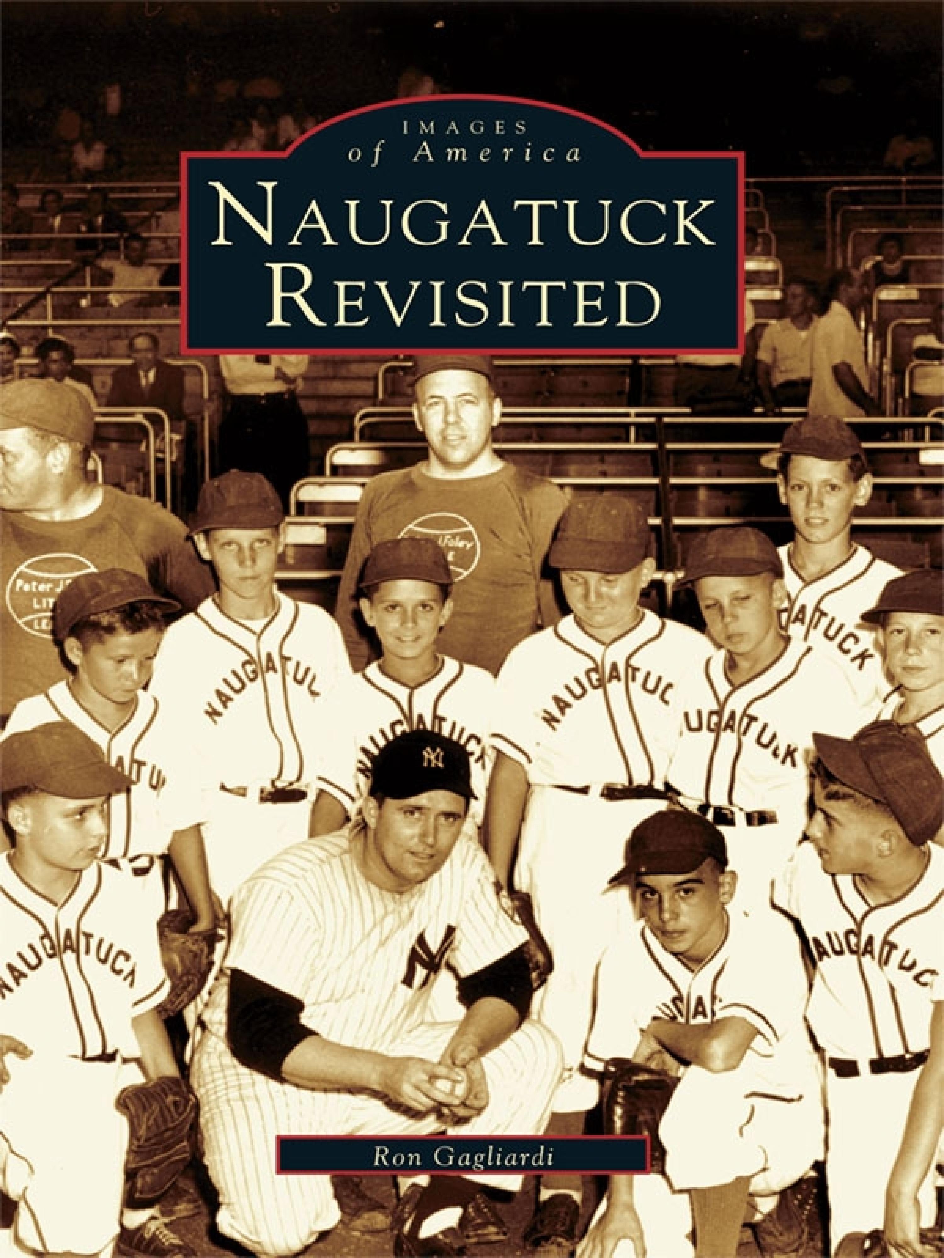 Cover image for Naugatuck Revisited