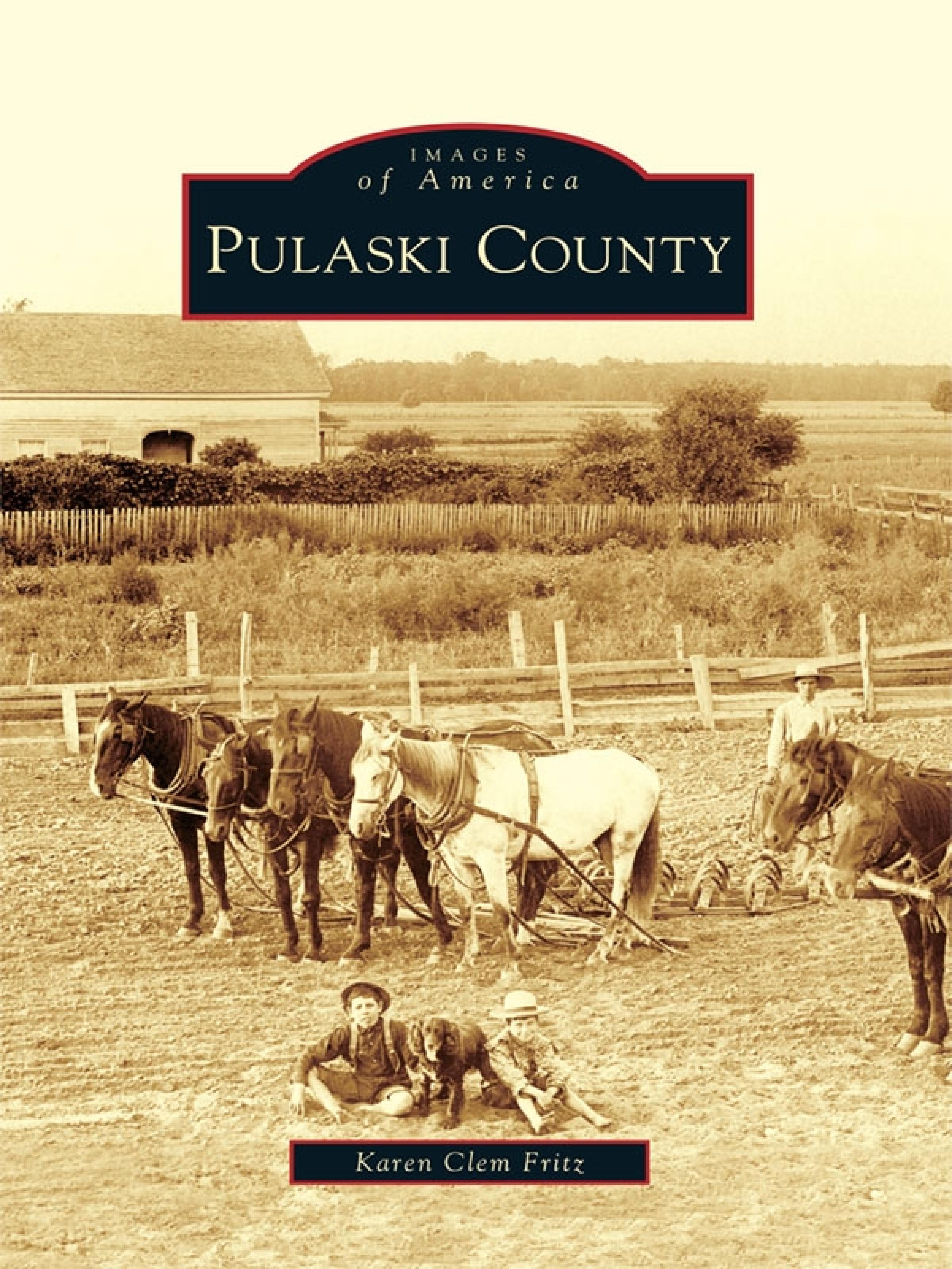 Cover image for Pulaski County