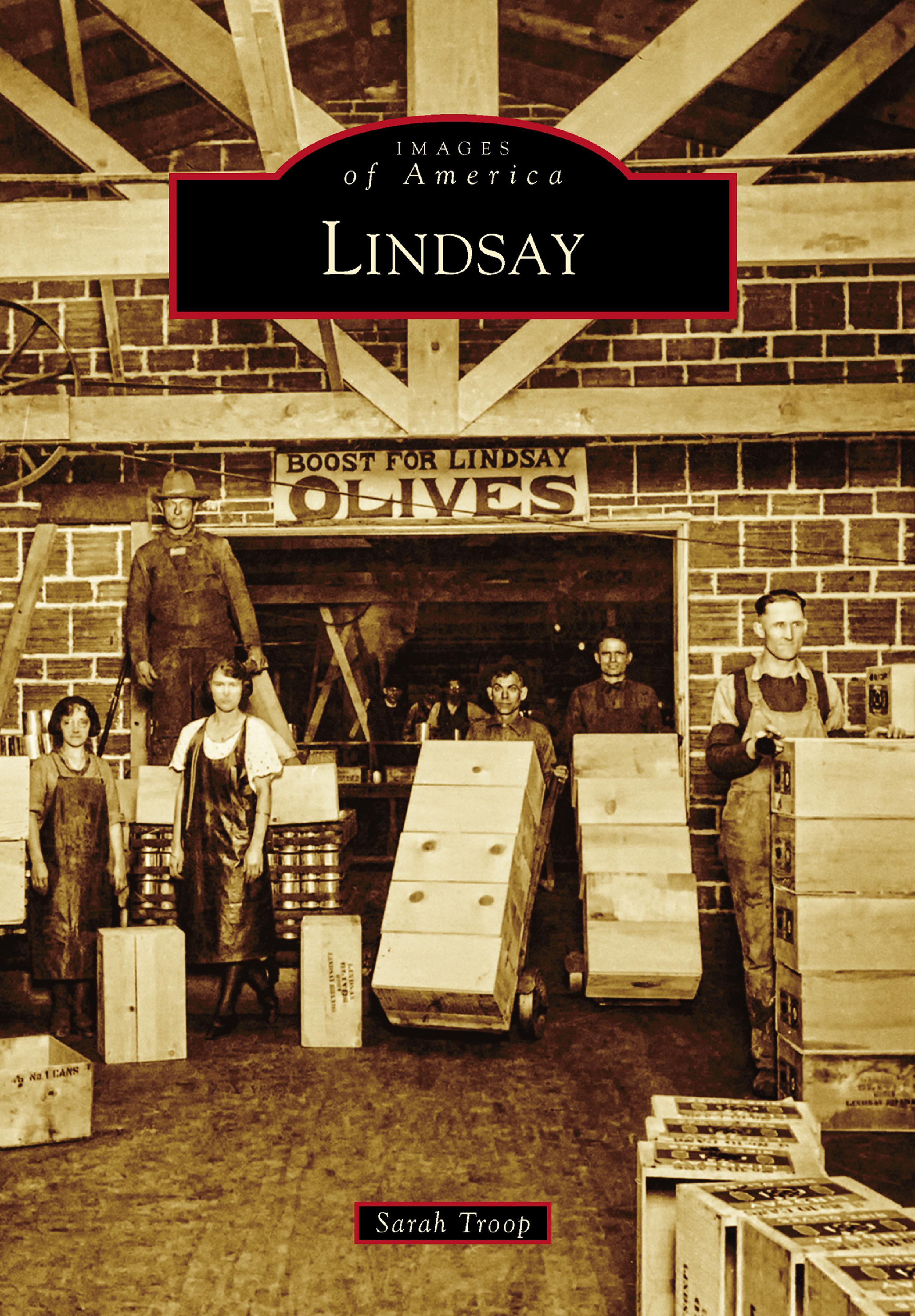 Cover image for Lindsay