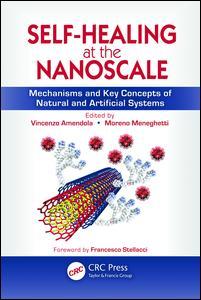 Cover image for Self-Healing at the Nanoscale