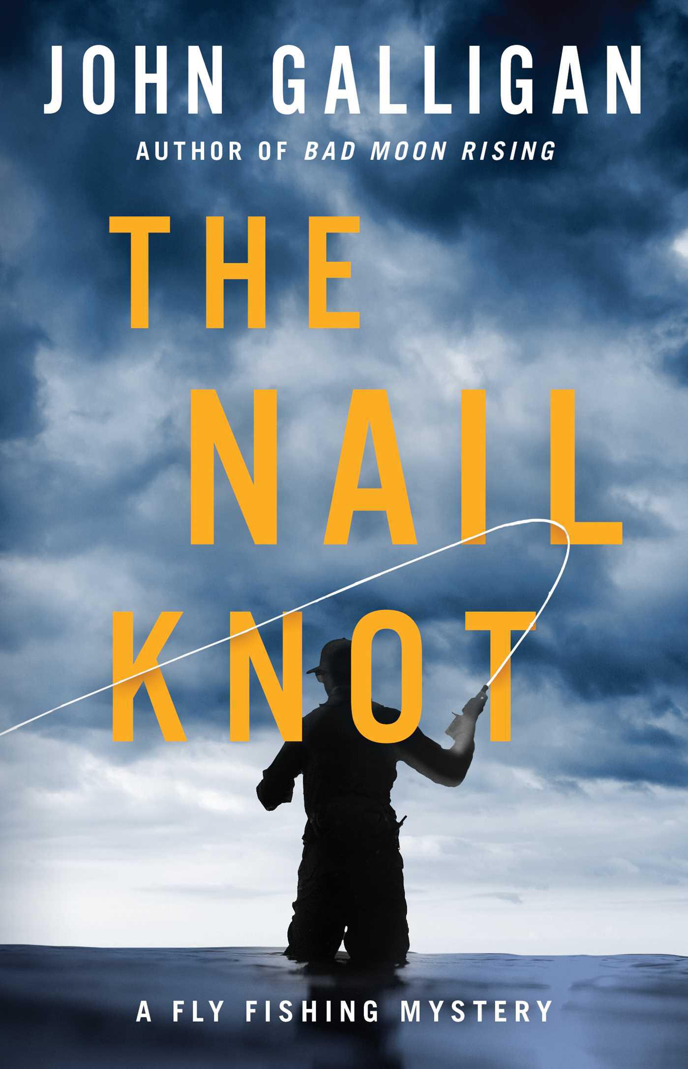 Cover image for The Nail Knot
