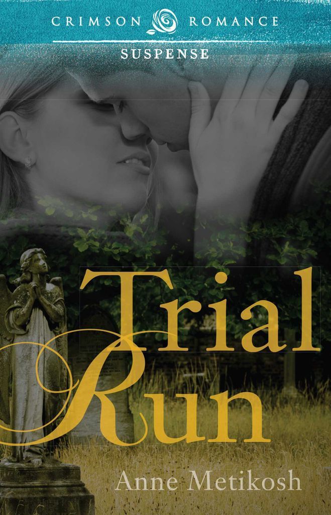 Cover image for Trial Run
