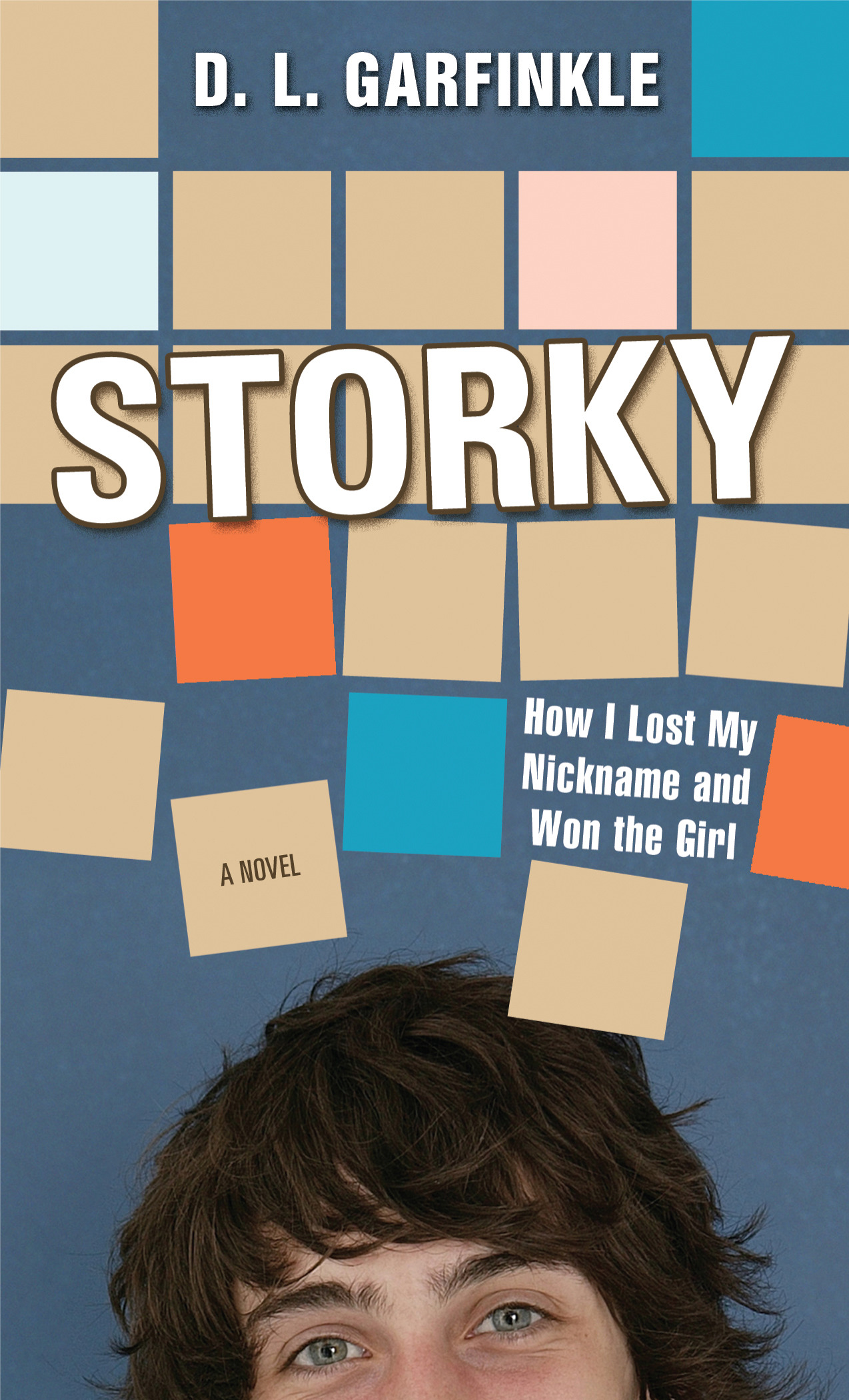 Cover image for Storky