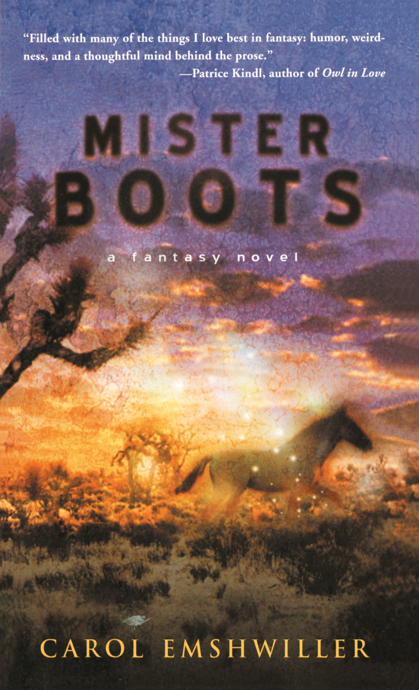 Cover image for Mister Boots