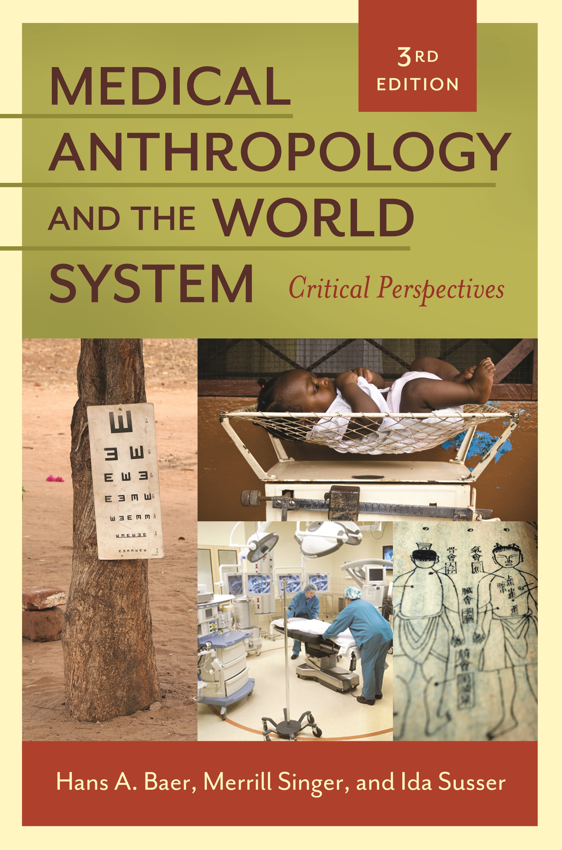 Cover image for Medical Anthropology and the World System