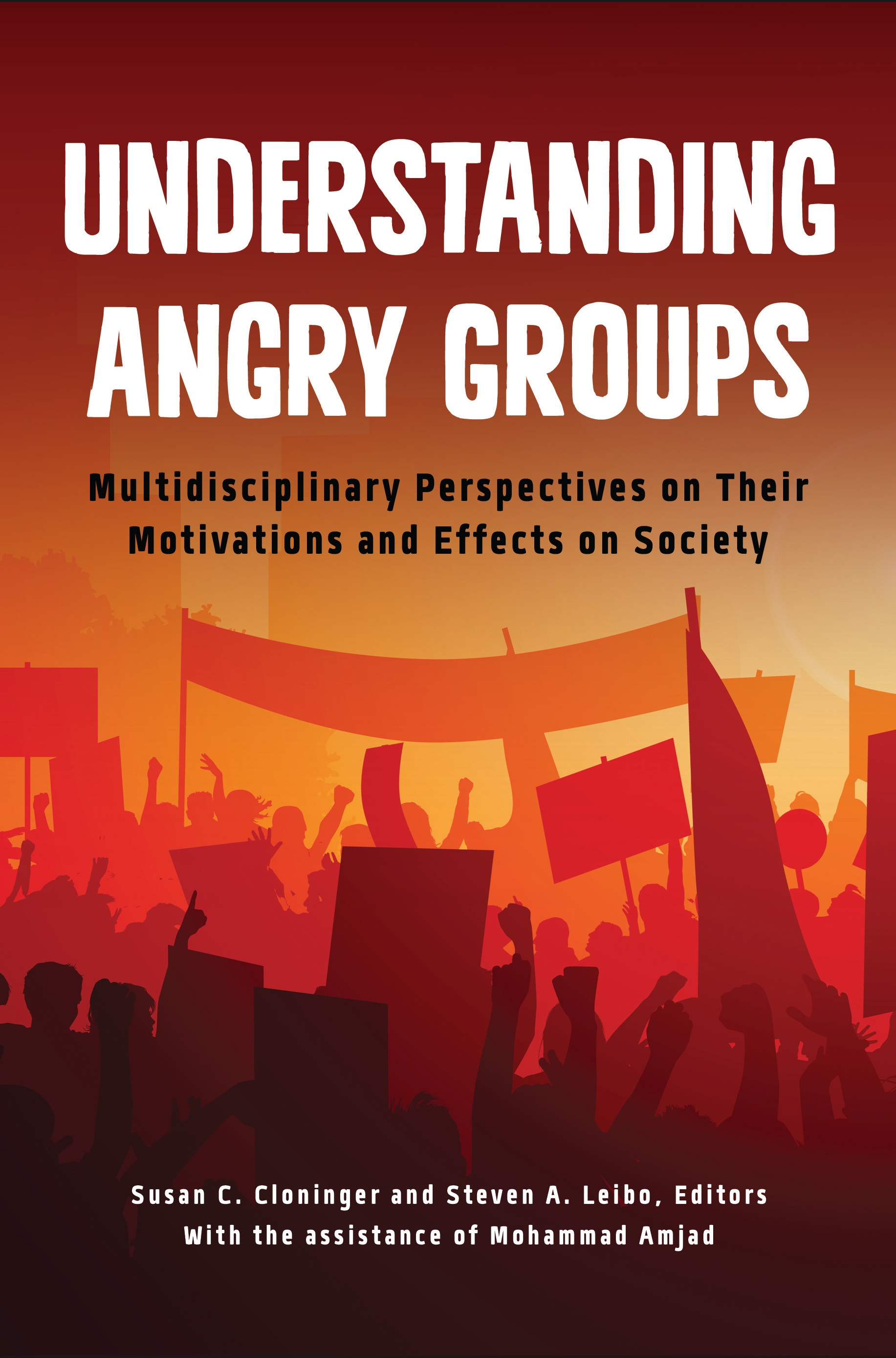 Cover image for Understanding Angry Groups
