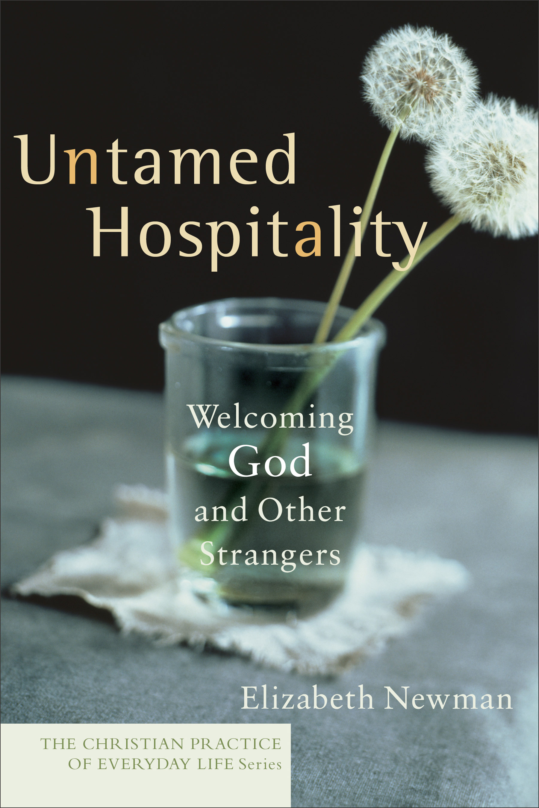 Cover image for Untamed Hospitality (The Christian Practice of Everyday Life)