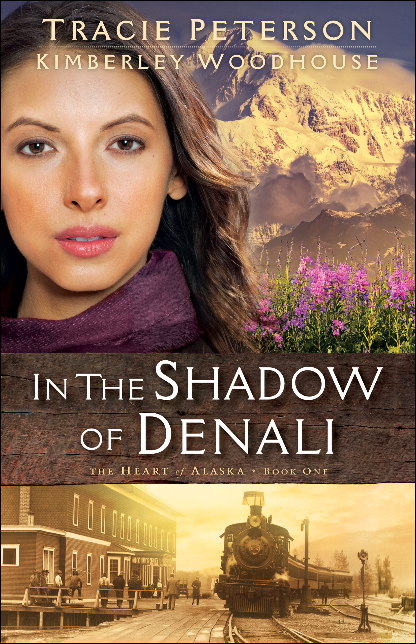 Cover image for In the Shadow of Denali (The Heart of Alaska Book #1)