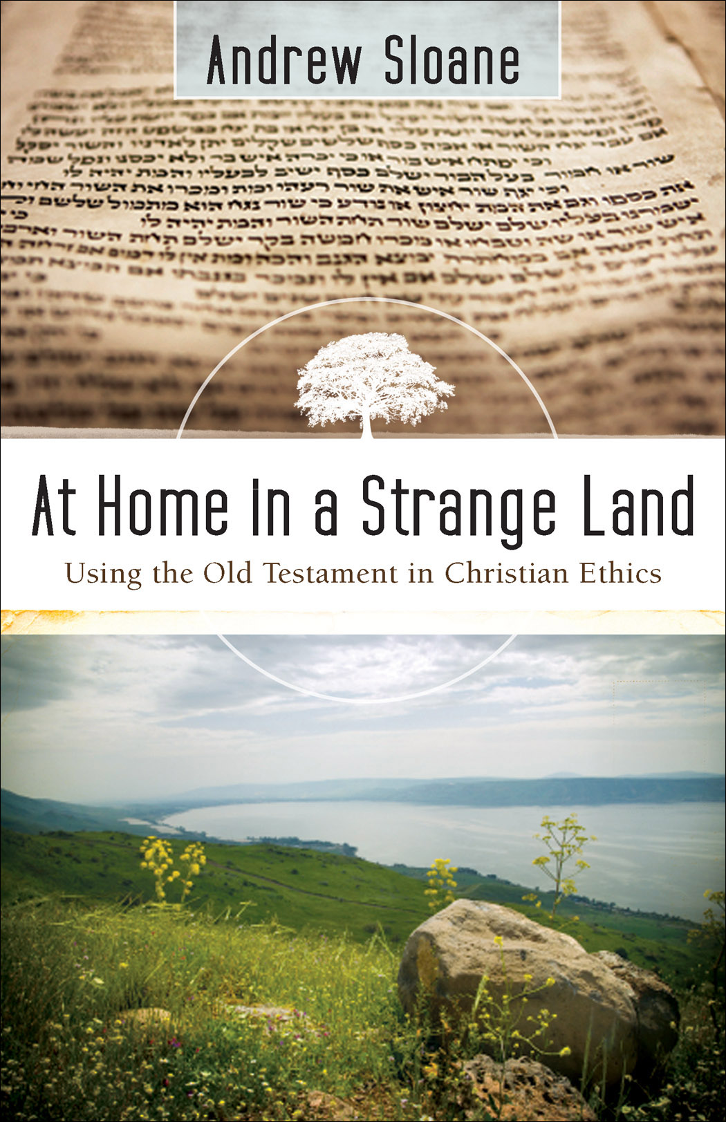 Cover image for At Home in a Strange Land