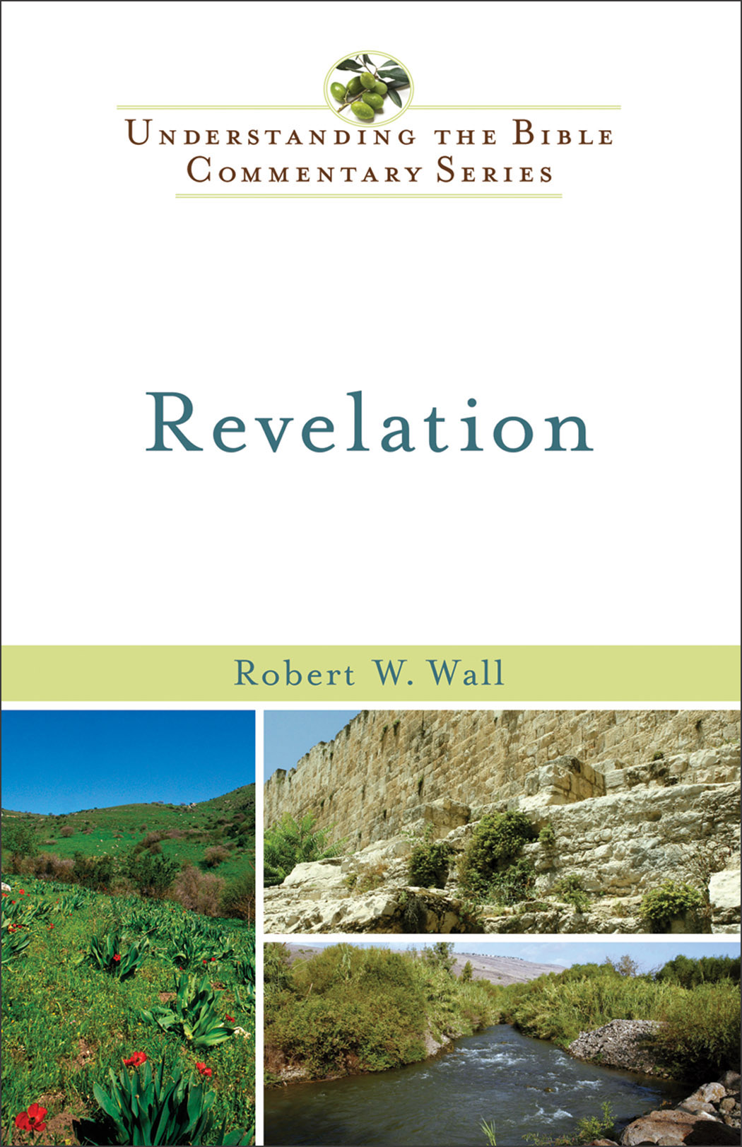 Cover image for Revelation (Understanding the Bible Commentary Series)