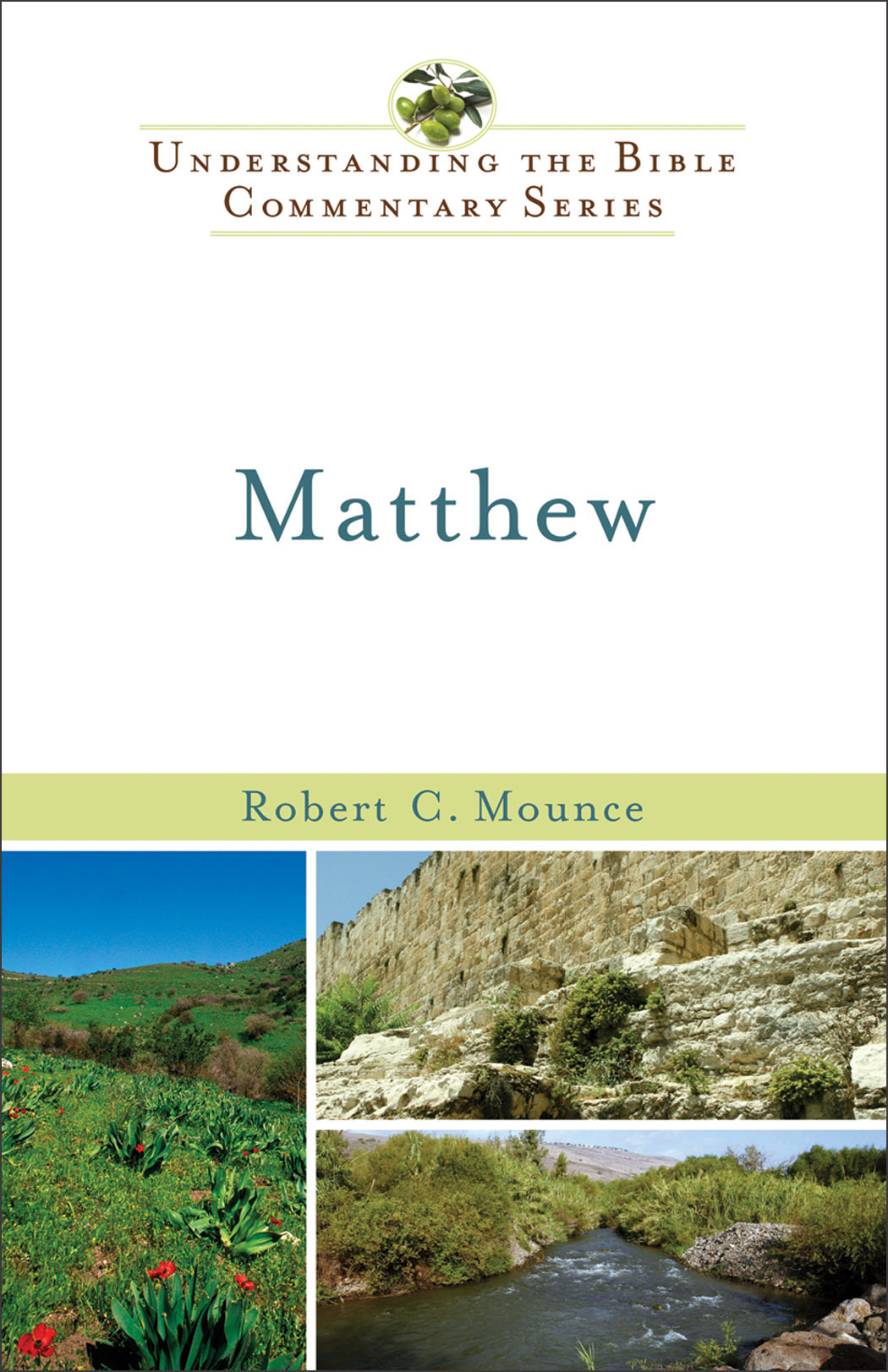 Cover image for Matthew (Understanding the Bible Commentary Series)