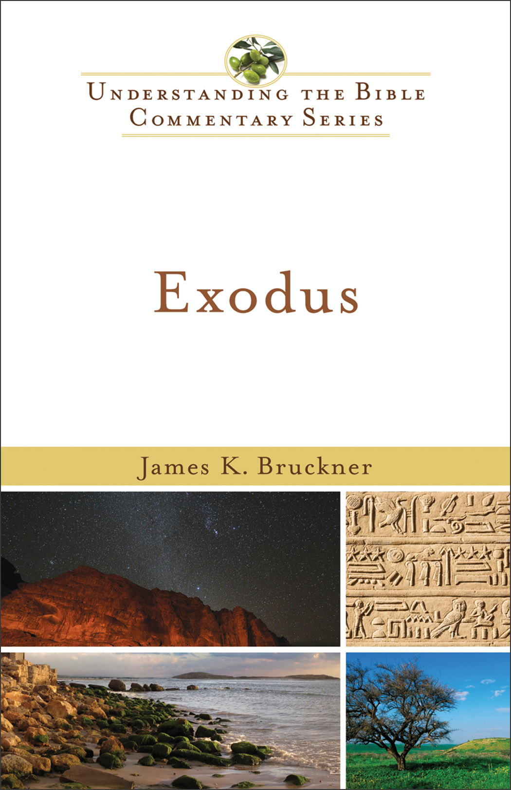Cover image for Exodus (Understanding the Bible Commentary Series)