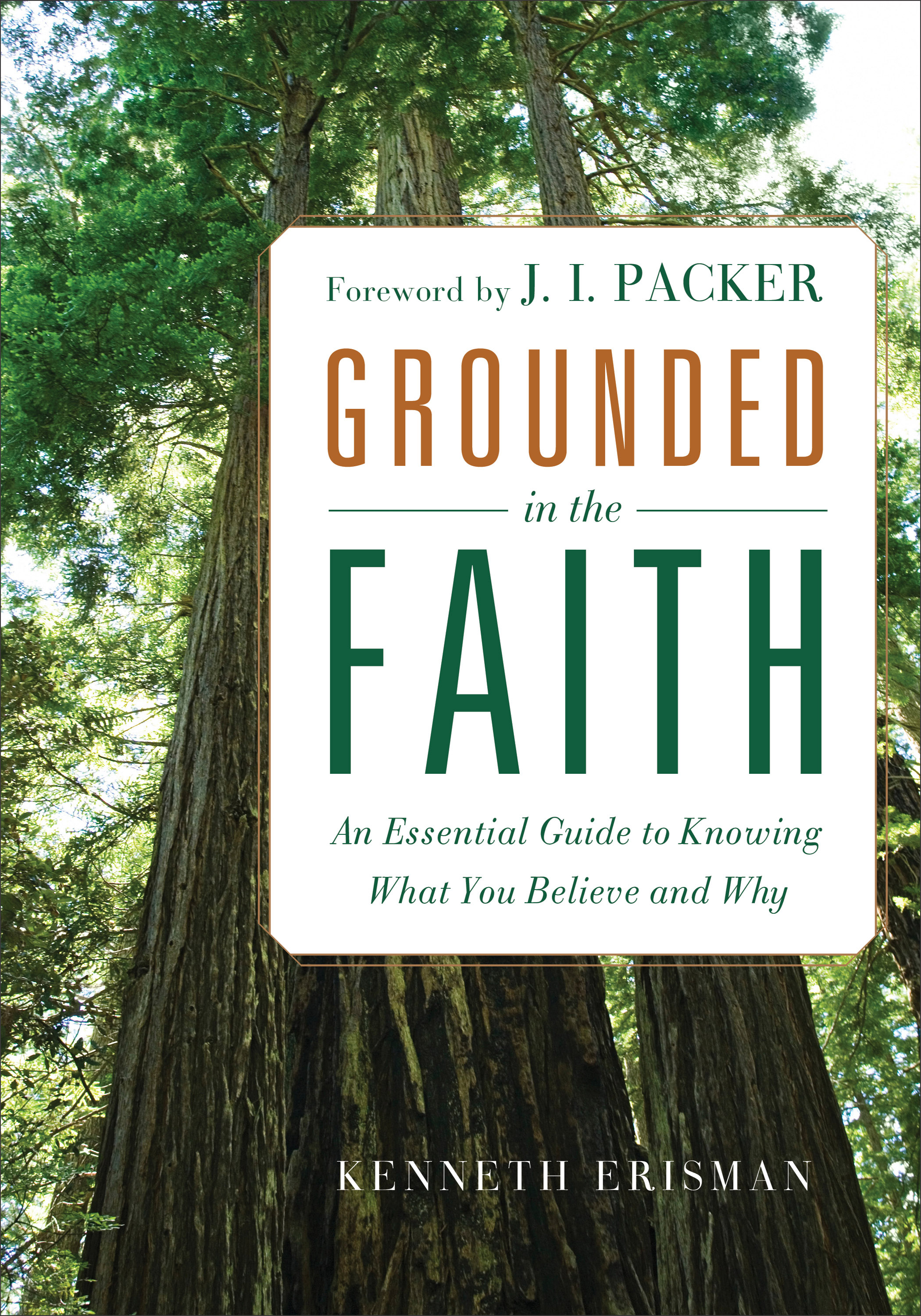 Cover image for Grounded in the Faith