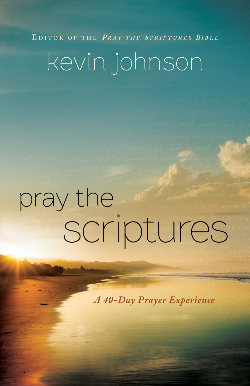 Cover image for Pray the Scriptures