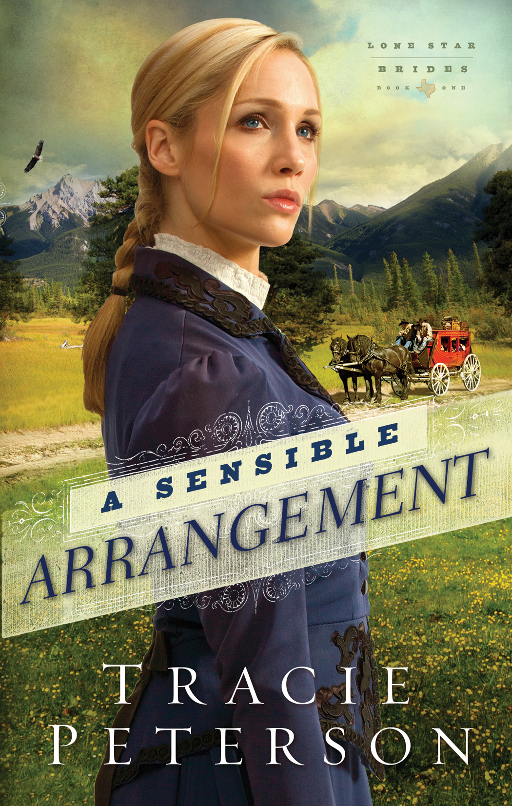 Cover image for A Sensible Arrangement (Lone Star Brides Book #1)