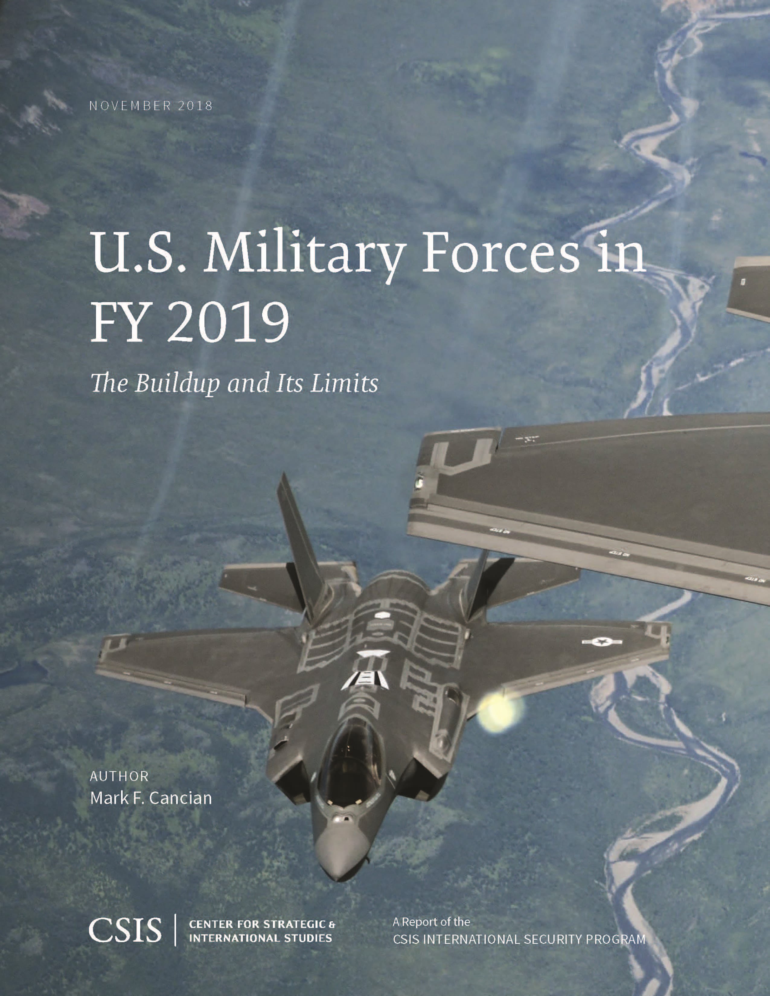 Cover image for U.S. Military Forces in FY 2019