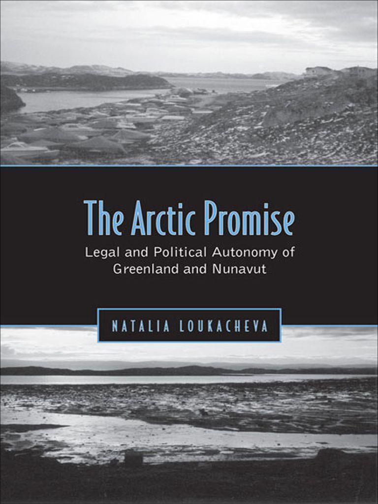 Cover image for Arctic Promise