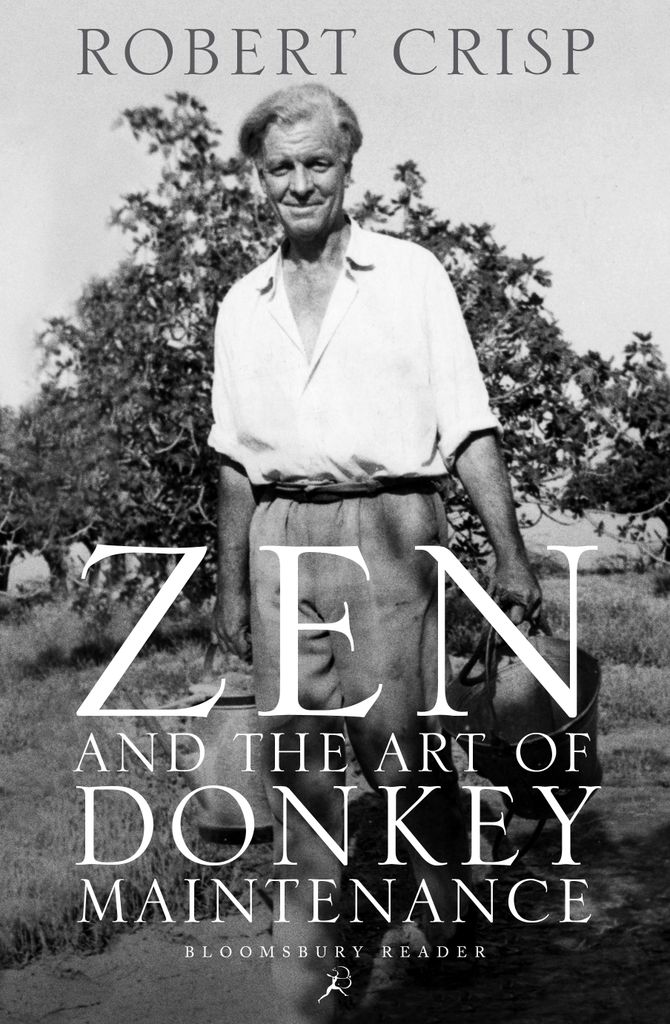 Cover image for Zen and the Art of Donkey Maintenance