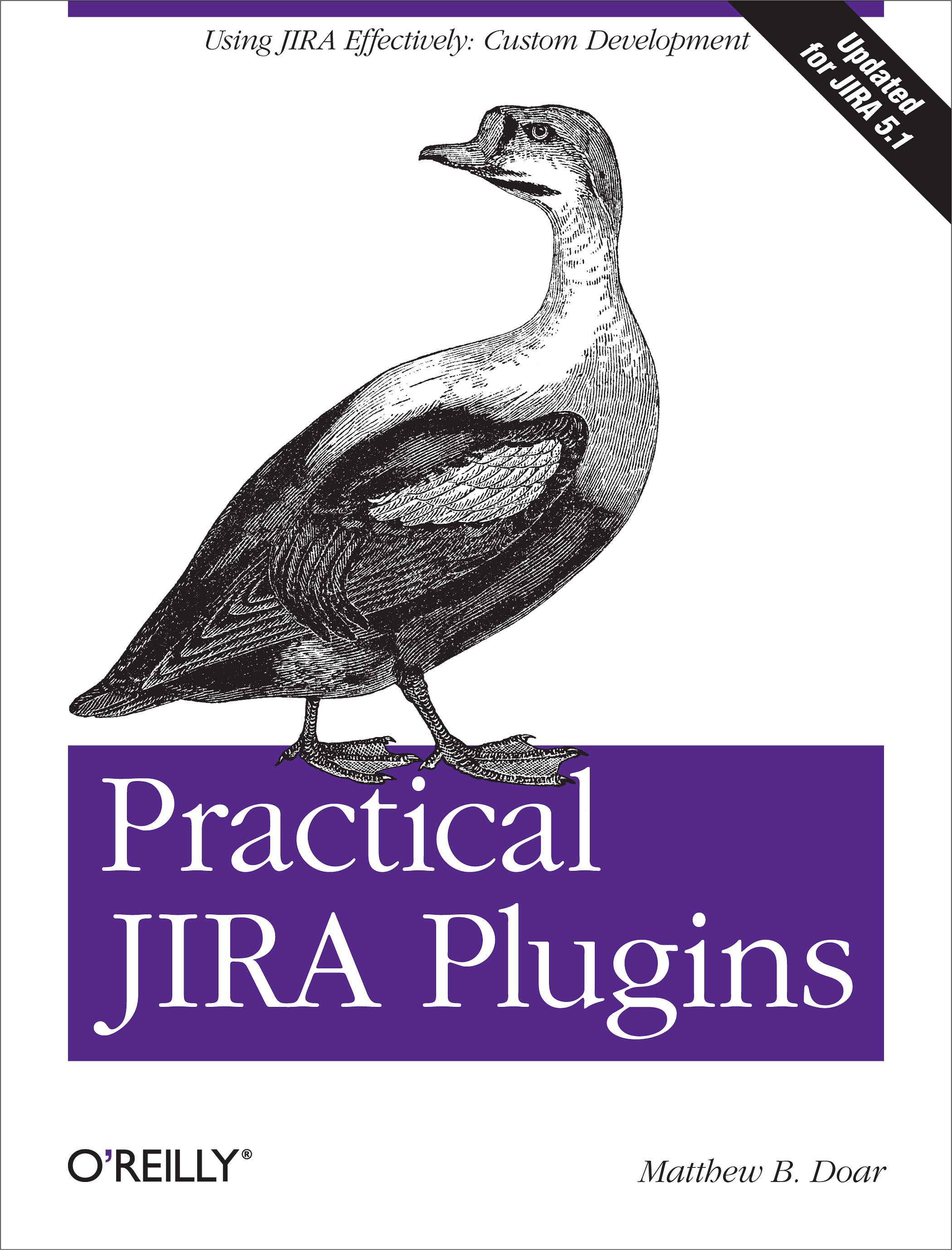 Practical JIRA Plugins