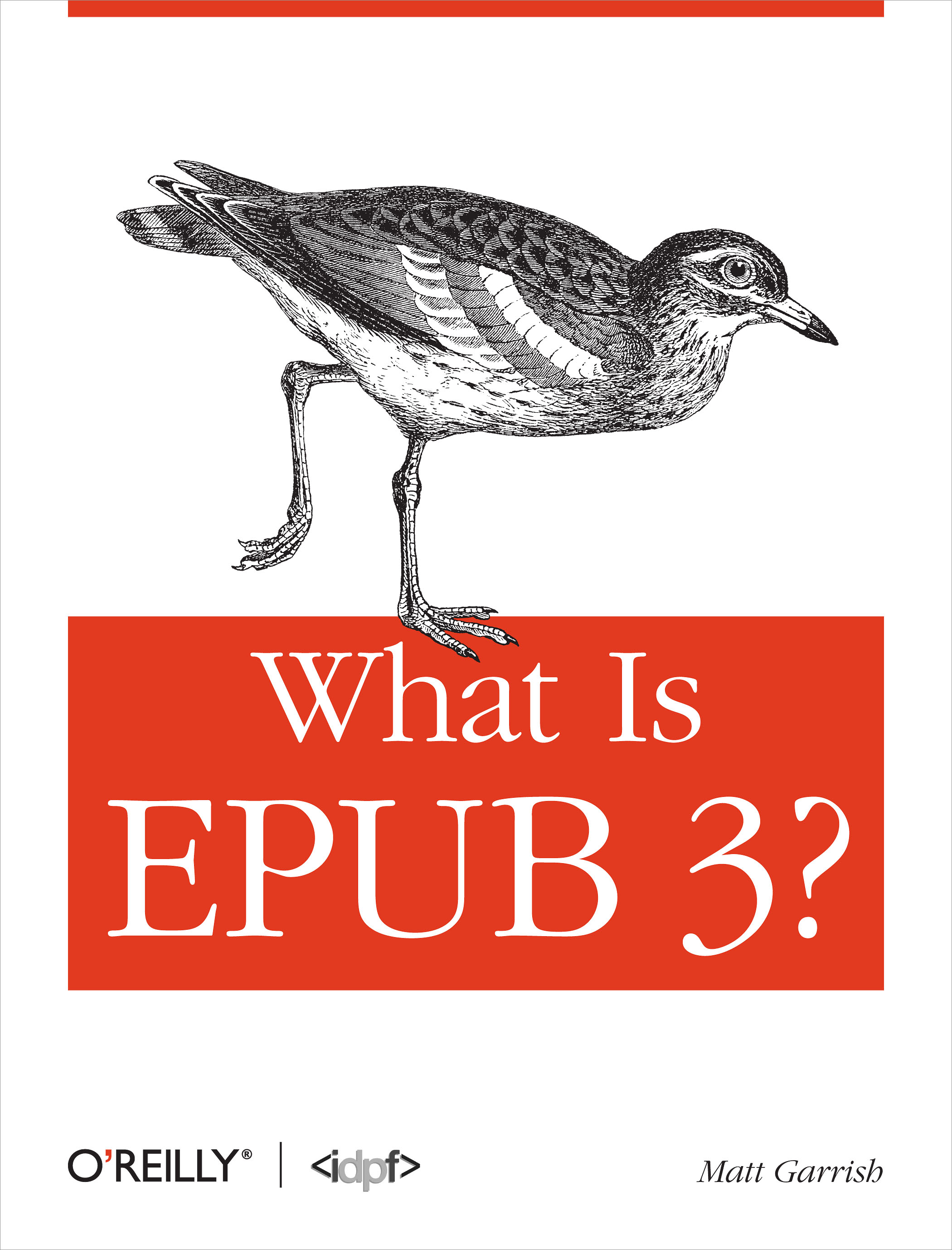 What is EPUB 3?