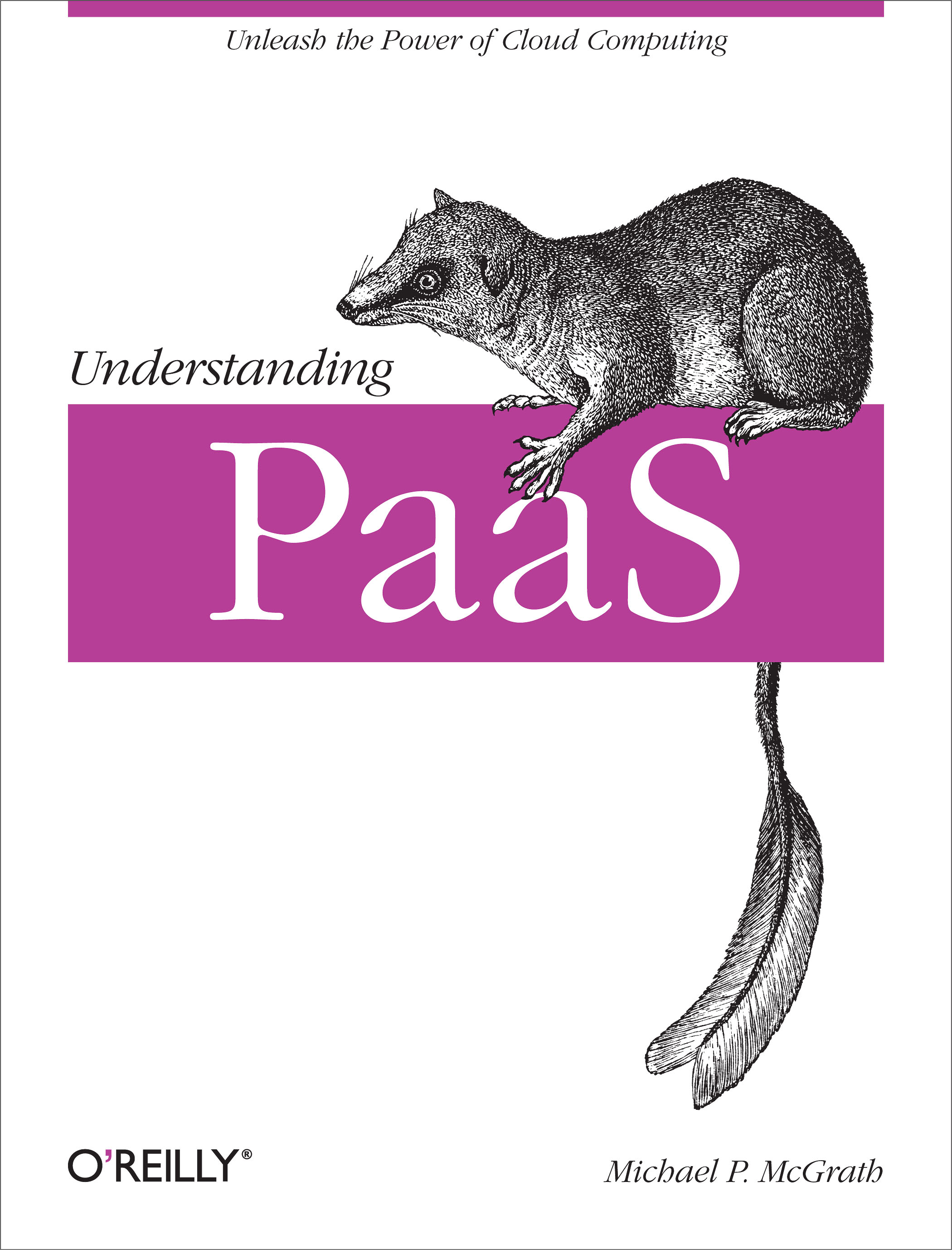 Understanding PaaS