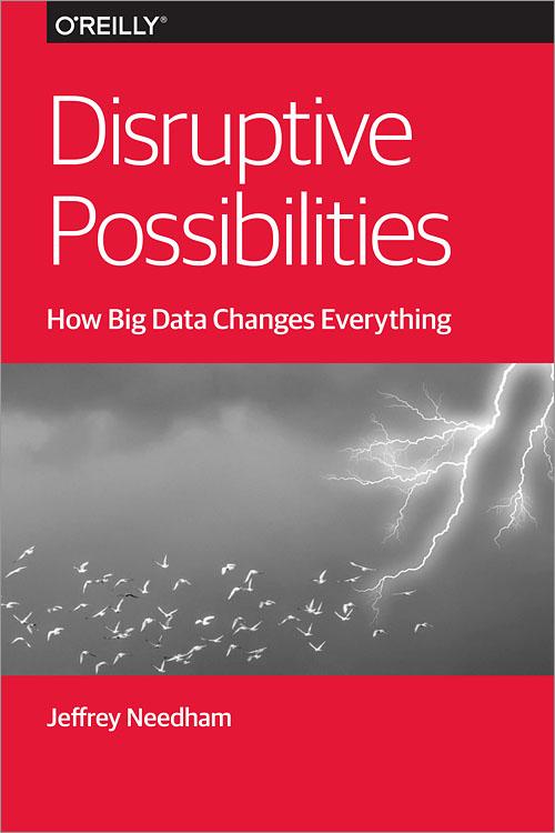 Disruptive Possibilities: How Big Data Changes Everything