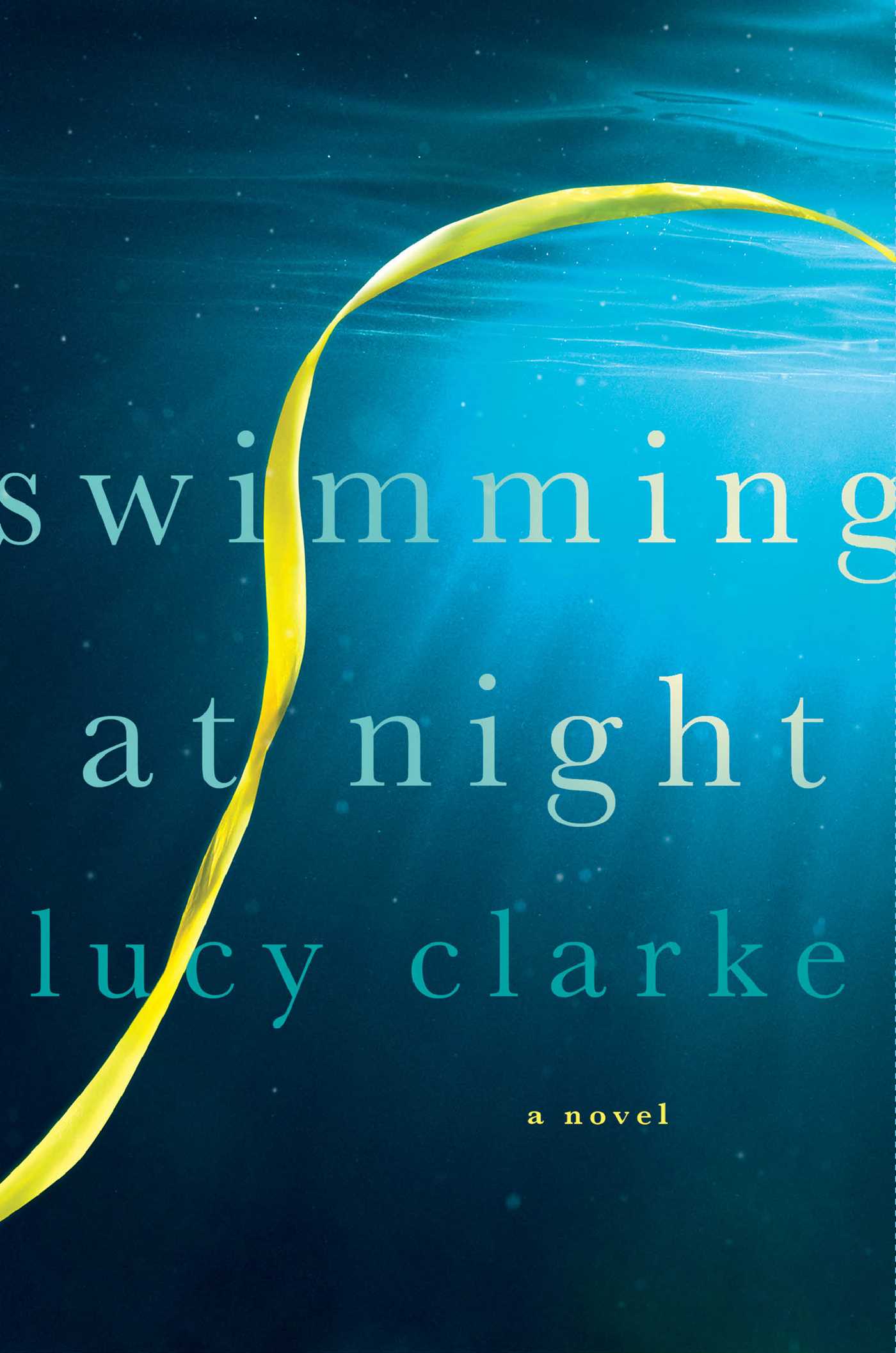 Cover image for Swimming at Night