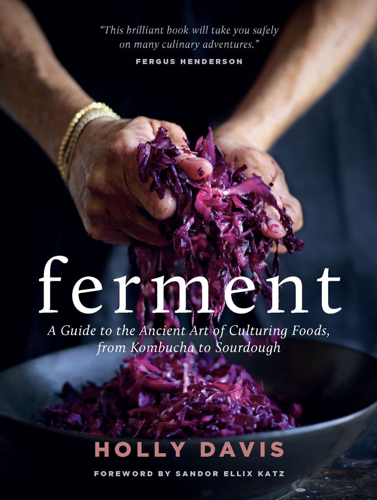 Cover image for Ferment
