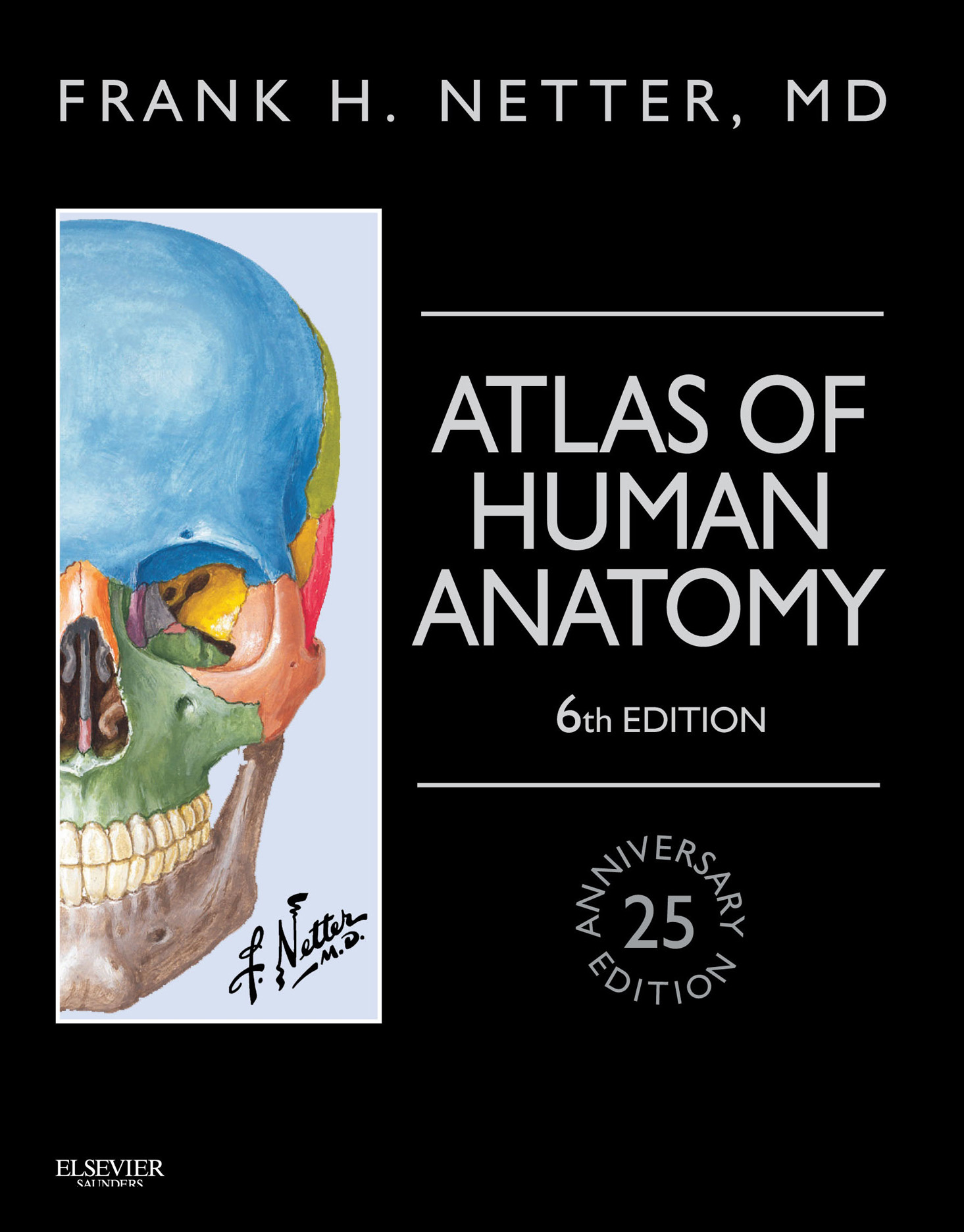 Фрэнк Неттер анатомия 6 издание